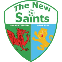 The New Saints